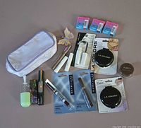 Group shot of all cosmetic items including powders, mascaras, gloss sticks, eyeshadows, bag, container