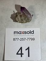 full view of amethyst cluster with scale card