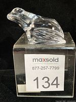 overall view of crystal frog on display block