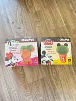 Both sealed Chia Pet boxes side by side on floor