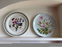 Both plates on shelf, showing overall appearance and size relation