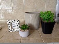 All five items together on countertop