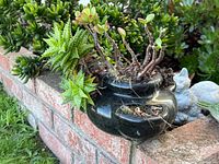 oblique side view of black ceramic planter showing succulents in pockets