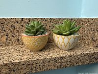 Both faux succulent arrangements showing ceramic bowl patterns