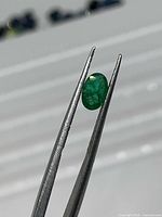 Emerald held in tweezers, side view of oval profile and colour