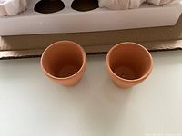 Pair of terracotta pots showing interior and drainage holes inside open shipping box