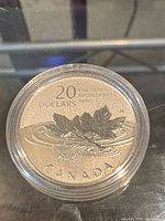 Reverse of coin showing 20 DOLLARS, maple leaves design, in capsule