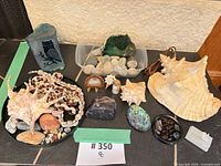 overview of entire lot on slate including shell lamp, owl slab, tubs of stones, shells, geode, polished stones