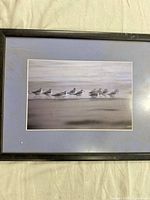 Full view of framed shorebird print showing image, mat, frame condition