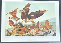 Full view of unframed lithograph with margins