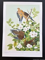 Full view of print with border