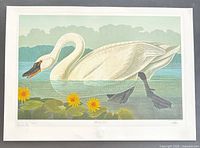 Full view of print showing swan, numbering, signature, entire sheet