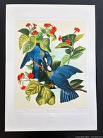 Full view of unframed print showing entire sheet and margins