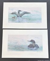 Both unframed lithographs aligned vertically showing images, margins, signatures, edition numbers