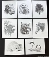 All eight Albert Casson wildlife prints laid out