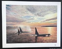 Full view of lithograph showing orcas, margins visible