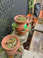 Group of terracotta strawberry planters and standard pots on concrete slabs