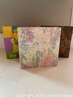 Front view of three photo albums showing designs