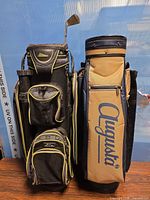 Both golf bags side by side with club in Datrek bag