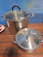 Large and small stainless steel pots with lids
