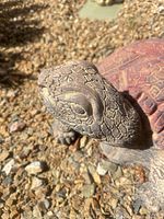 Close-up of turtle head showing concrete texture and faded paint