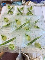 Group of fused glass plates showing sizes and leaf motif