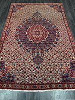 Full view of entire rug showing pattern and borders