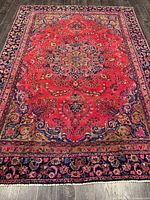 Full view of rug showing entire pattern and border