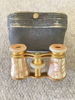 Opera glasses and case front view