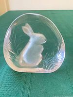 Front view showing rabbit relief inside clear crystal dome