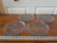All four Harmony Blue plates front view with ruler for scale