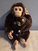Front view of adult and baby chimp plush showing faces, tag visible