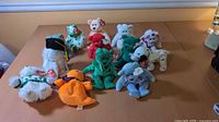 All thirteen Ty Beanie Babies arranged on tabletop
