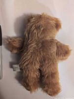 Front/back view of small brown plush teddy bear