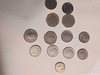 Overhead view of all thirteen coins arranged in rows