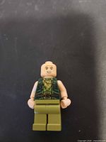 Front view of minifigure showing torso and legs