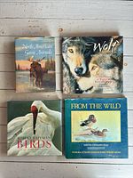 Front covers of all four books