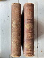 Spines of both volumes showing gilt titles and volume numbers