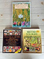 Group shot of all three books showing covers