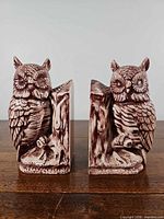 Front view pair owl bookends
