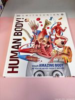 Front cover showing title, subtitle and anatomical illustration