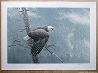 Full view of the unframed Robert Bateman print