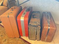 All four suitcases side by side showing size and color differences