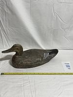 Full side view showing entire decoy and tape for scale