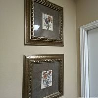 Both framed prints hung vertically showing matching ornate gold-tone frames, gray mats, and floral artwork