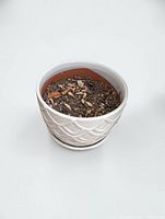 Off-white textured ceramic pot with saucer, soil inside
