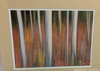 Front view of matted photographic print showing abstract forest image under plastic wrap