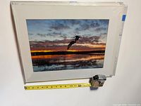 Front view of matted photographic print with measuring tape for scale
