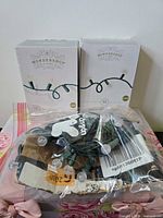 Front view showing two sealed Wondershop boxes and loose bagged light set