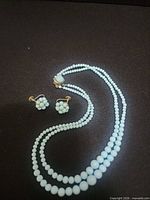 Necklace and earrings full view